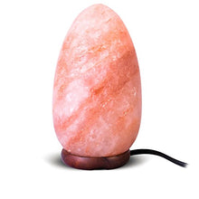 Load image into Gallery viewer, Natural Himalayan Pink Salt Lamp Ellipse Shape