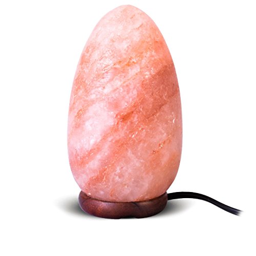Natural Himalayan Pink Salt Lamp Ellipse Shape