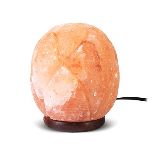 Natural Himalayan Pink Salt Lamp Cut Ellipse Shape